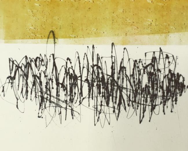 Rids - radering 2019